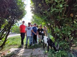 Bild 8